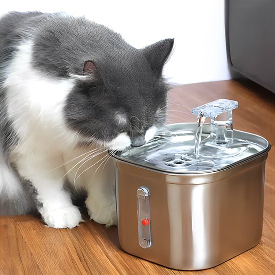 Fontaine à eau pour chat inox chat a soif