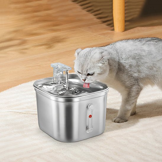 Fontaine à eau pour chat inox chat boit