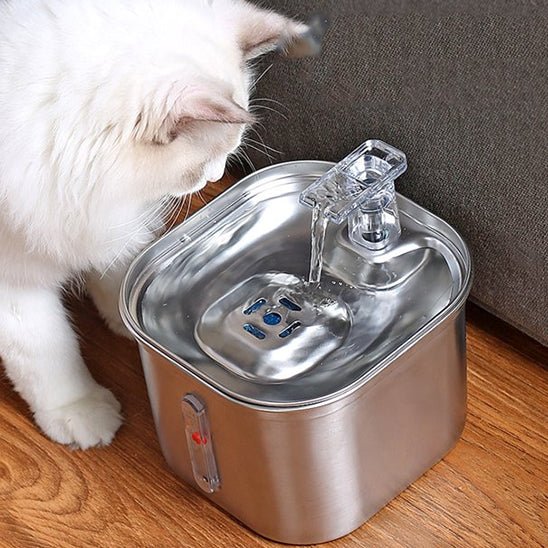 Fontaine à eau pour chat inox veut boire