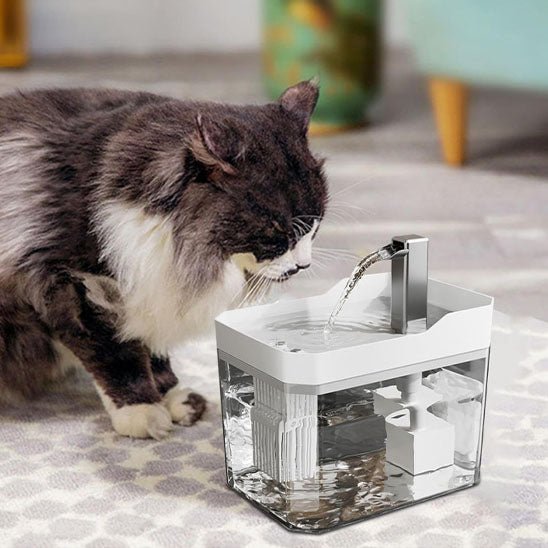 Fontaine chat | CatHydroâ„¢ - Transportdodochat