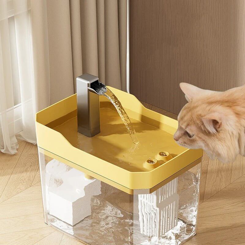 Fontaine chat jaune chat se désaltère