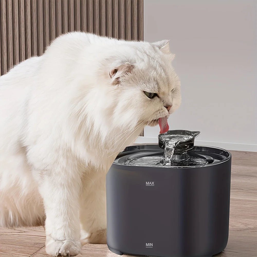 Fontaine Eau Chat Silencieuse | AquaFreshâ„¢ - Transportdodochat