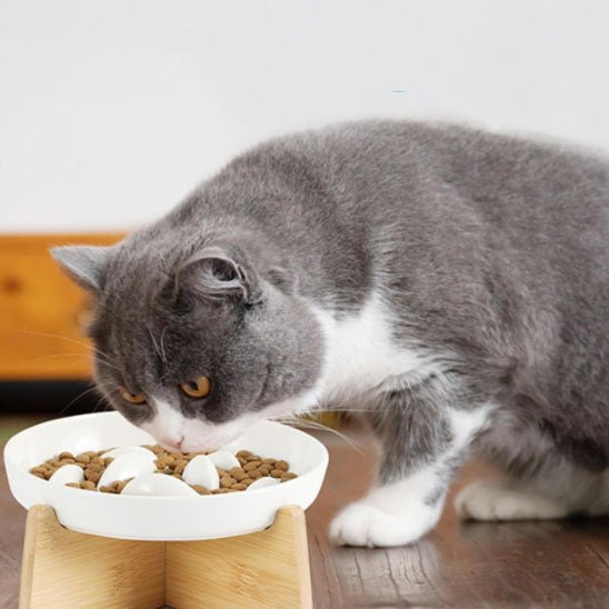 Gamelle anti glouton chat - Transportdodochat