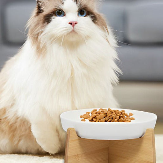 Gamelle anti glouton chat - Transportdodochat