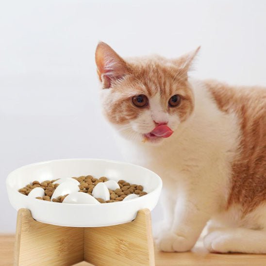 Gamelle anti glouton chat - Transportdodochat
