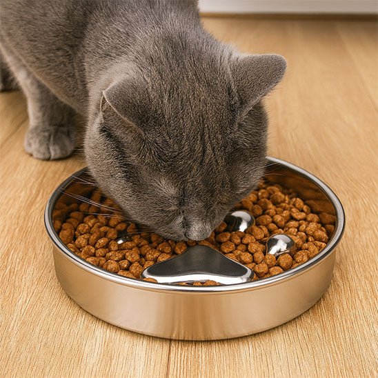 Gamelle anti glouton chat - Croq'Pause™ - Acier Inox - Transportdodochat