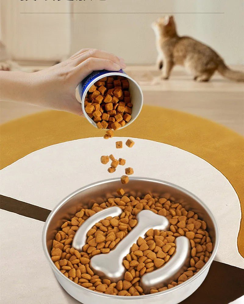 Gamelle anti glouton chat - Croq'Pause™ - Acier Inox - Transportdodochat