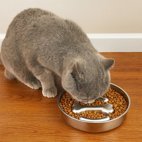 Gamelle anti glouton chat - Croq'Pause™ - Acier Inox - Transportdodochat