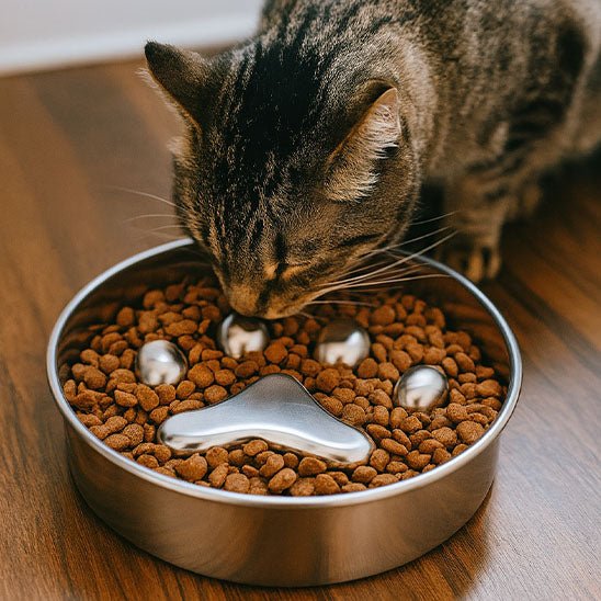 Gamelle anti glouton chat - Croq'Pause™ - Acier Inox - Transportdodochat