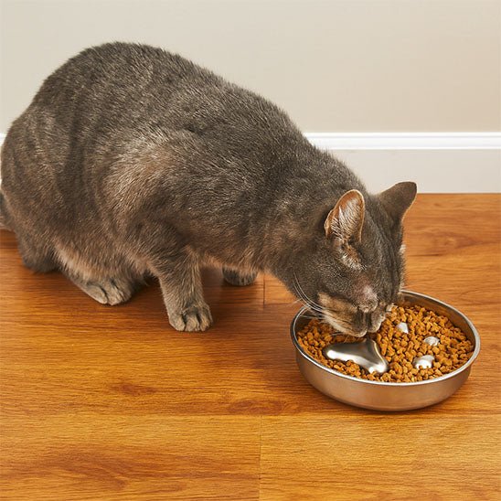 Gamelle anti glouton chat - Croq'Pause™ - Acier Inox - Transportdodochat
