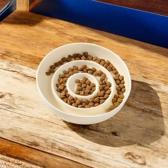 Gamelle anti - glouton chat - Porcelaine Féline™ - Transportdodochat