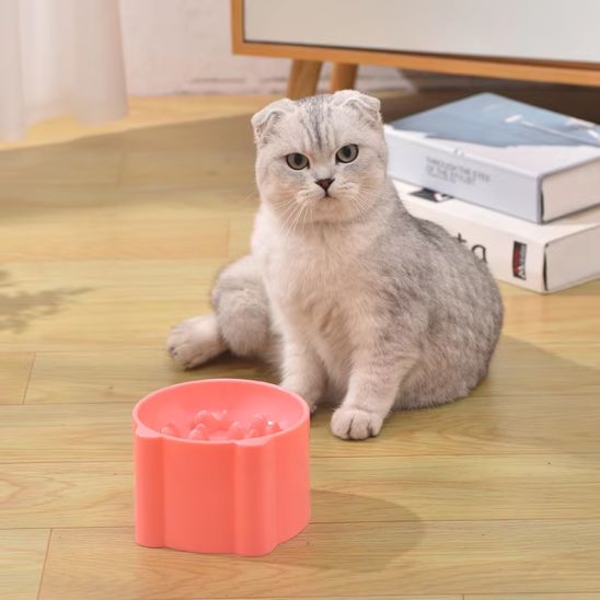 Gamelle anti glouton chat - Croq'Pauseâą - Plastique - Transportdodochat