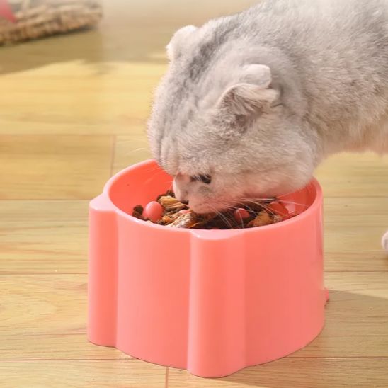 Gamelle anti glouton chat - Croq'Pauseâą - Plastique - Transportdodochat