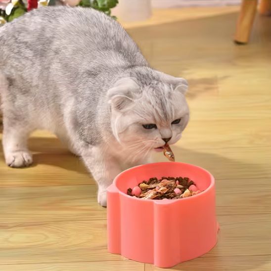 Gamelle anti glouton chat - Croq'Pauseâą - Plastique - Transportdodochat