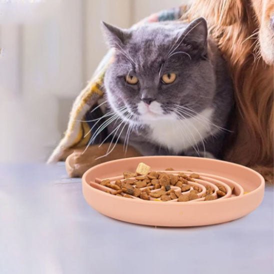 Gamelle anti glouton chat - Croq'Pause™ - Silicone - Transportdodochat