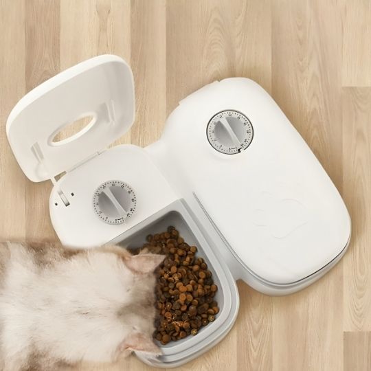 Gamelle automatique chat blanc chat a faim