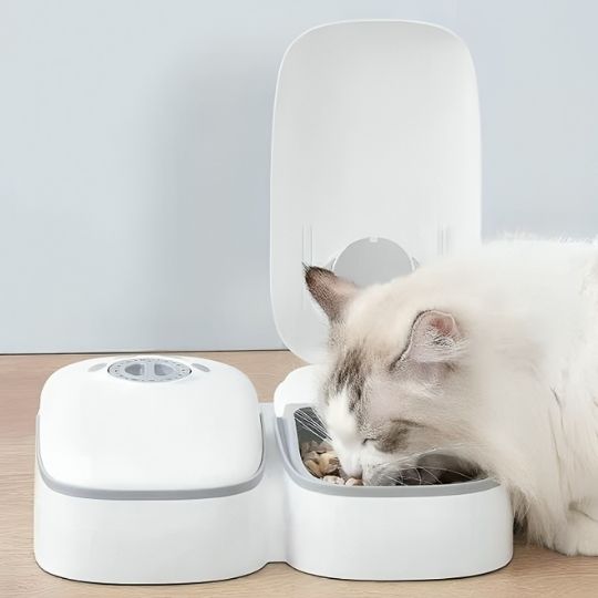 Gamelle automatique chat blanc chat savoure