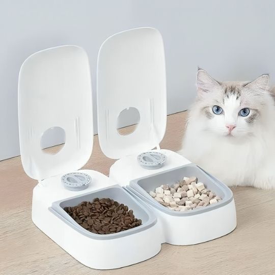 Gamelle automatique chat blanc chat veut manger