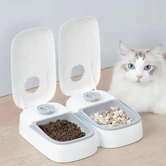 Gamelle automatique chat blanc chat veut manger
