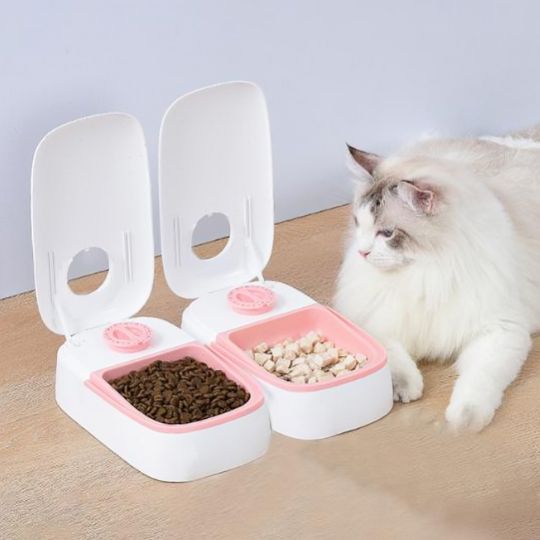 Gamelle automatique chat rose chat avec appétit