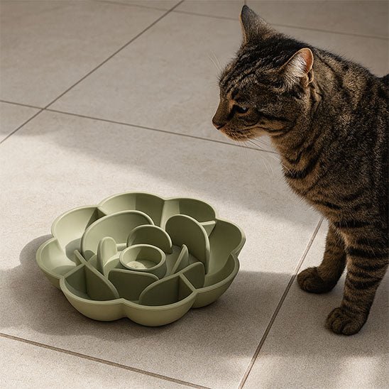 Gamelle chat anti - glouton - Fleur de Festinâą - Transportdodochat