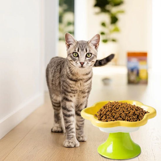 Gamelle chat - Pétale de Délice™ - Transportdodochat