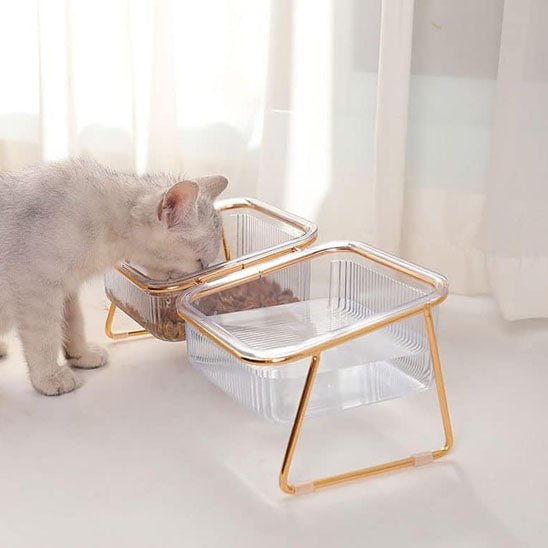 Gamelle chat - Cristal de Minouâą - Transportdodochat