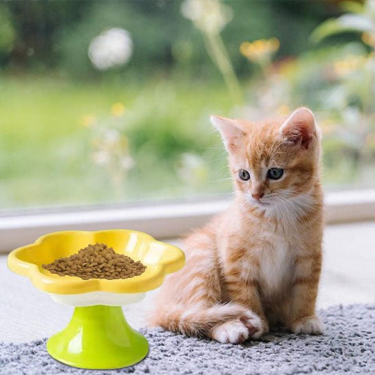 Gamelle chat - Pétale de Délice™ - Transportdodochat