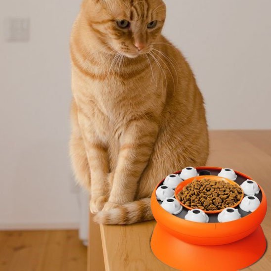 Gamelle chat | Élégance Féline™ - Transportdodochat