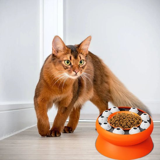 Gamelle chat | Élégance Féline™ - Transportdodochat