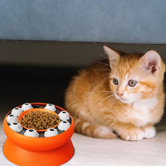 Gamelle chat | Élégance Féline™ - Transportdodochat