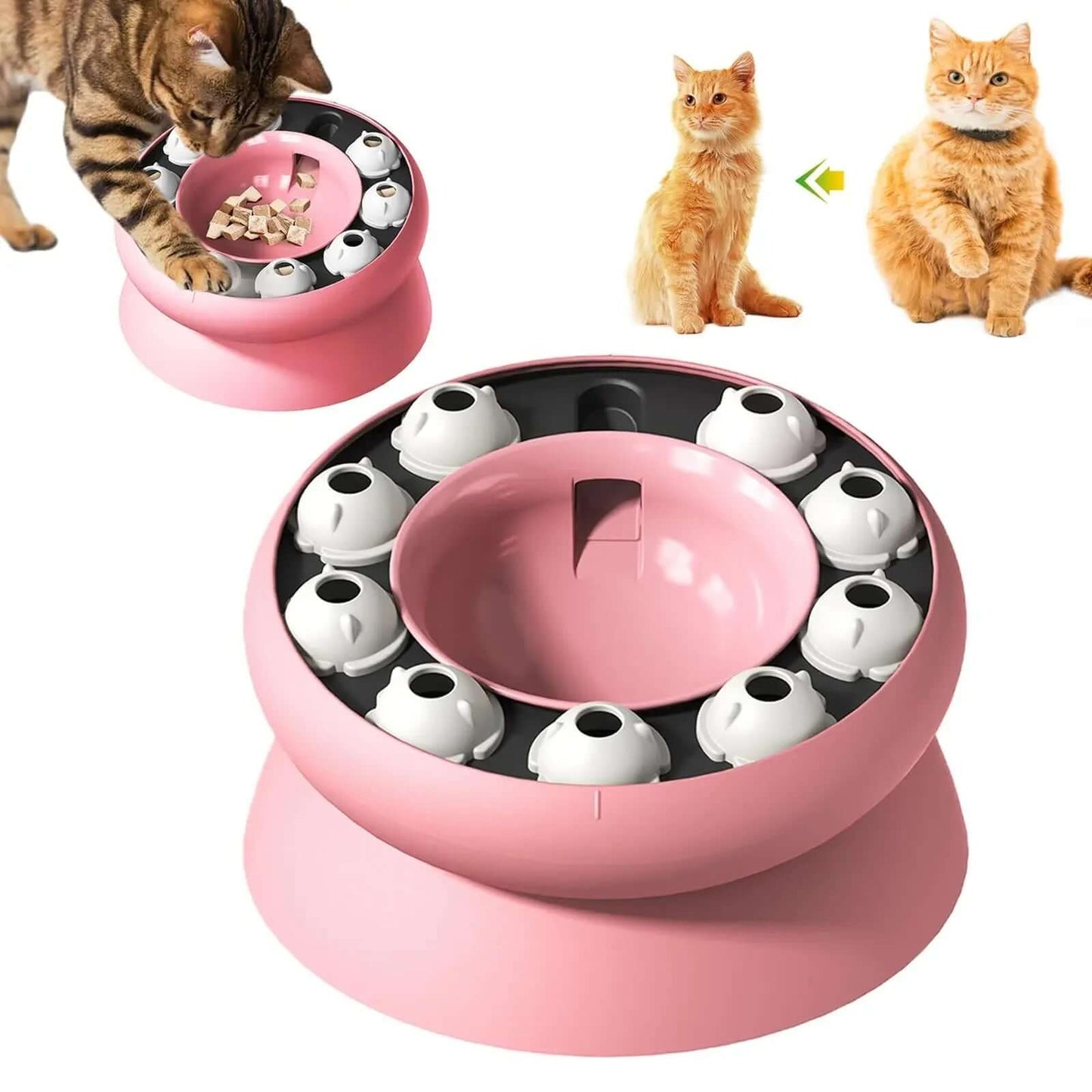 Gamelle chat rose chat joue pour avoir croquettes