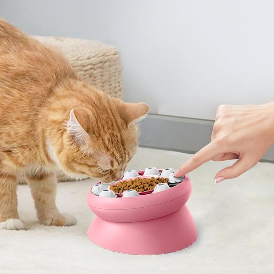 Gamelle chat | Élégance Féline™ - Transportdodochat