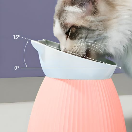 Gamelle chat surélevée - Bol des Rêves Félins™ - Transportdodochat