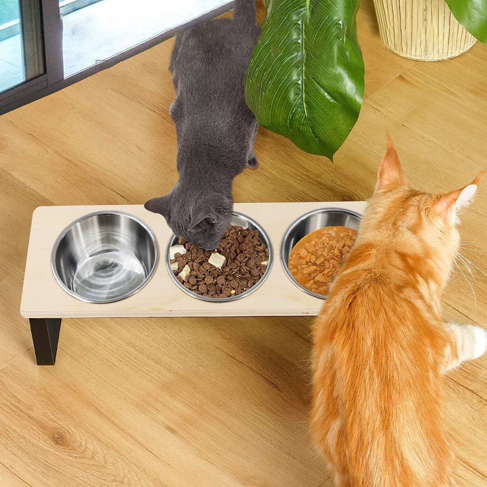 Gamelle pour chat surélevée - Gourmet Trio™ - Transportdodochat