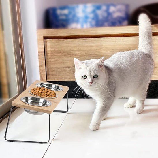 Gamelle pour chat surélevée - Gourmet Trio™ - Transportdodochat