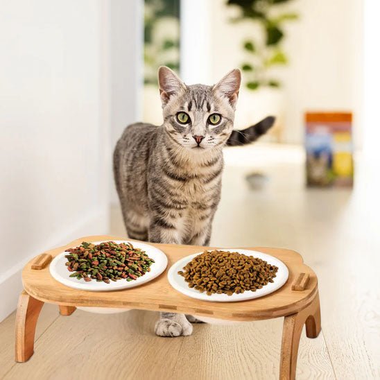 Gamelle chat surélevée - Miaou Gourmet™ - Transportdodochat