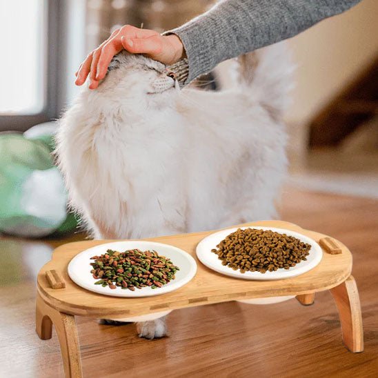 Gamelle chat surélevée - Miaou Gourmet™ - Transportdodochat