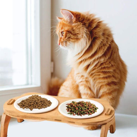 Gamelle chat surélevée - Miaou Gourmet™ - Transportdodochat
