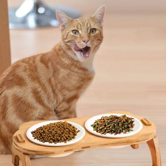 Gamelle chat surélevée - Miaou Gourmet™ - Transportdodochat