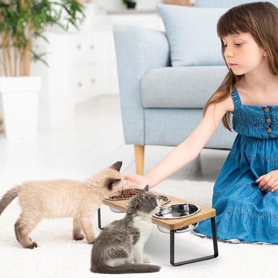 Gamelle pour chat surélevée - Gourmet Trio™ - Transportdodochat