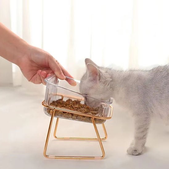 Gamelle chat - Cristal de Minouâą - Transportdodochat