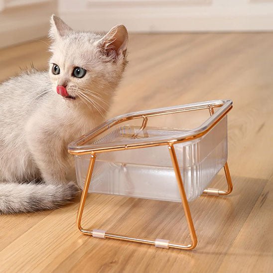 Gamelle chat - Cristal de Minouâą - Transportdodochat