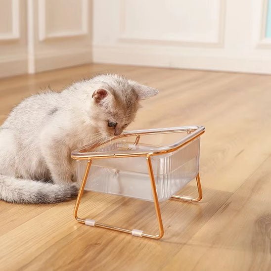 Gamelle chat - Cristal de Minouâą - Transportdodochat