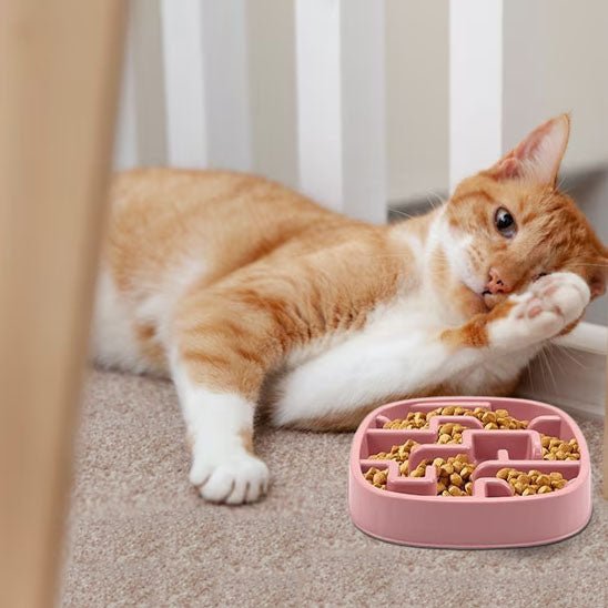 Gamelle pour chat anti glouton - Transportdodochat
