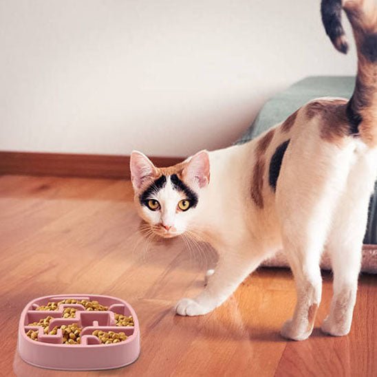 Gamelle pour chat anti glouton - Transportdodochat