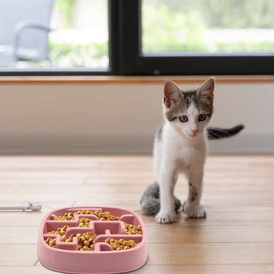 Gamelle pour chat anti glouton - Transportdodochat
