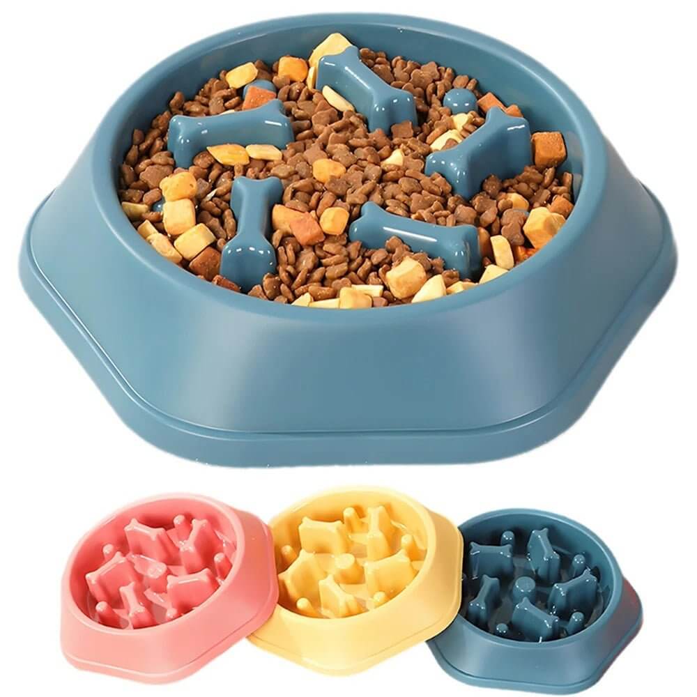 Gamelle pour chat anti-glouton plastique bleue