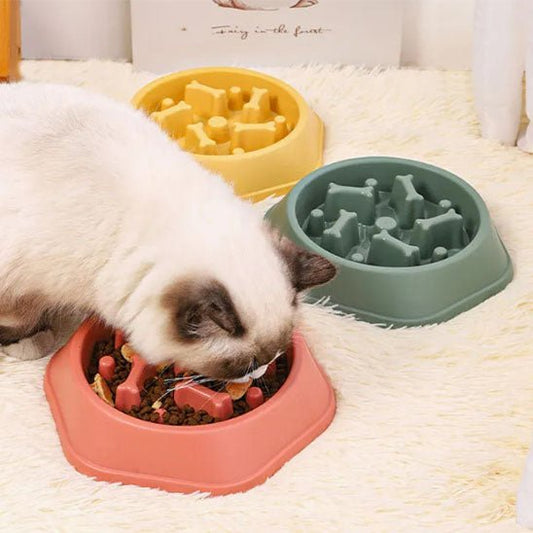 Gamelle pour chat anti - glouton - P'tit Festin Zen™ - Transportdodochat