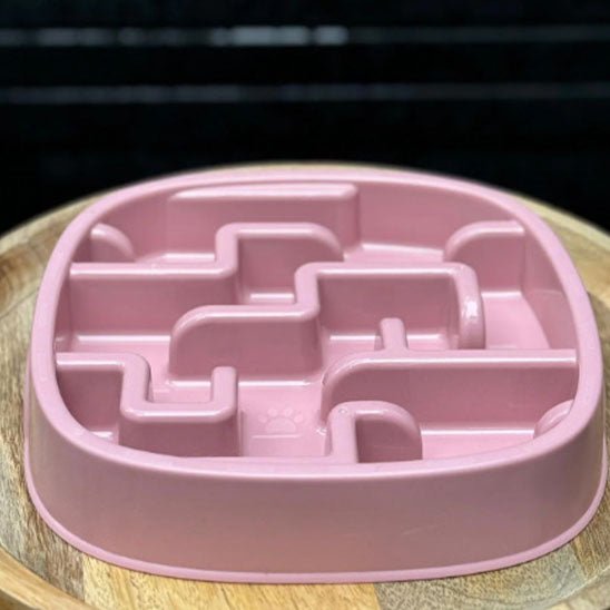 Gamelle pour chat anti glouton - Transportdodochat